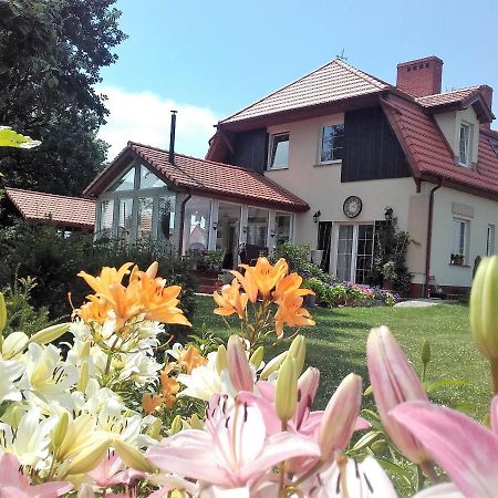 Willa Za Debami Aparthotel Głogów Buitenkant foto