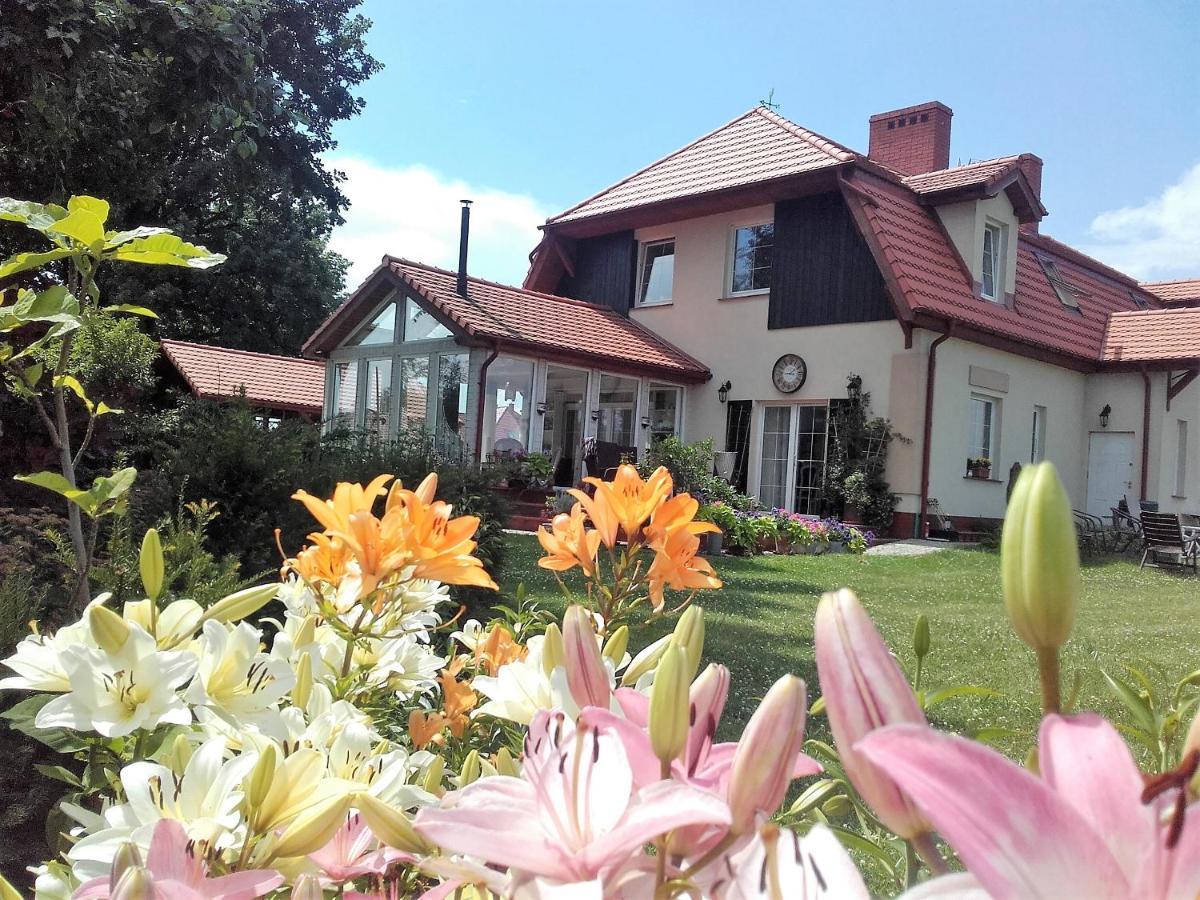 Willa Za Debami Aparthotel Głogów Buitenkant foto